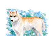 Watercolor Dogs Mega Big Bundle, an Illustration by Dneprstock (Thumbnail 33 of 60)