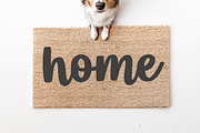 Bestie Club | Bold Script Font, a Script Font by KA Designs (Thumbnail 9 of 10)
