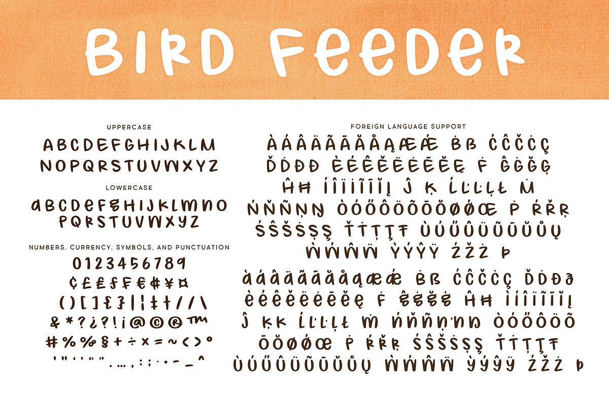 Bird Feeder Font, a Handwritten Font by Brittney Murphy Design (Photo 2 of 2)
