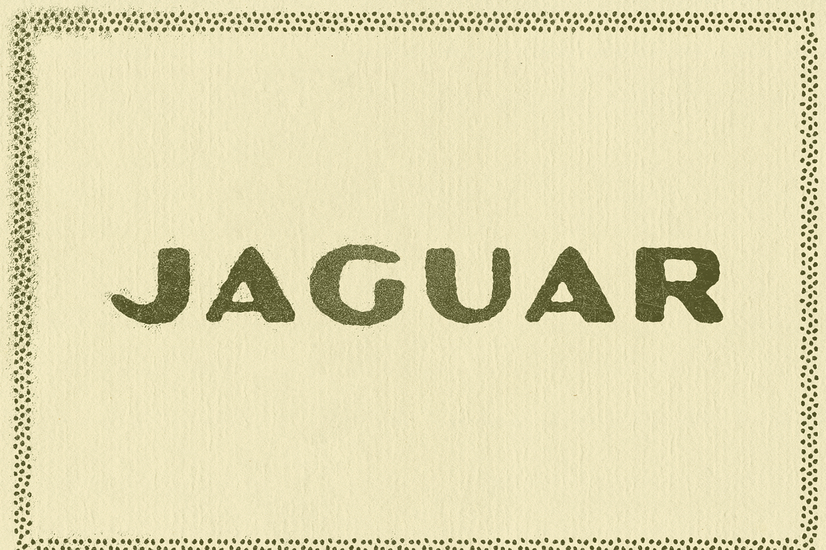 Jaguar, a Sans Serif Font by By Meg Burk (Photo 2 of 4)