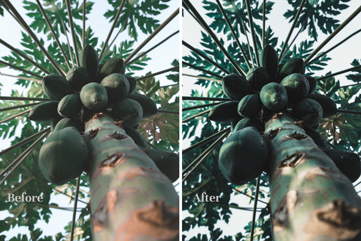 Forest Green - Lightroom Presets, an Action Add-On by Maple Visuals (Photo 5 of 10)