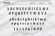 Gerisska – Elegant & Modern Stylish, a Serif Font by BrandSemut (Thumbnail 8 of 10)