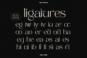 TAN - MON CHERI, a Sans Serif Font by TanType (Thumbnail 20 of 23)