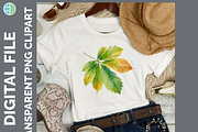 Leaf Illustration Bundle, 20 PNG, a Decorative Illustration by Enliven Designs (Thumbnail 3 of 8)