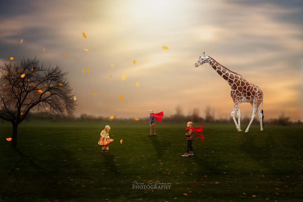 26 - PNG - Zoo Animal Overlays preview 2