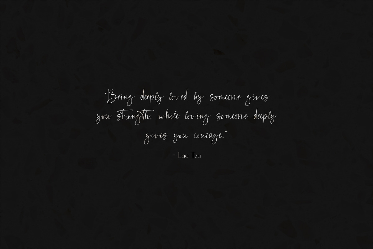 Chic Luxury Font Duo preview 3