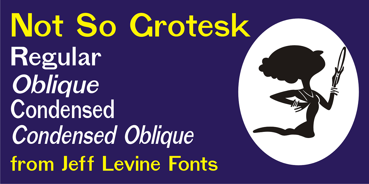 Not So Grotesk JNL, a Sans Serif Font by Jeff Levine Fonts