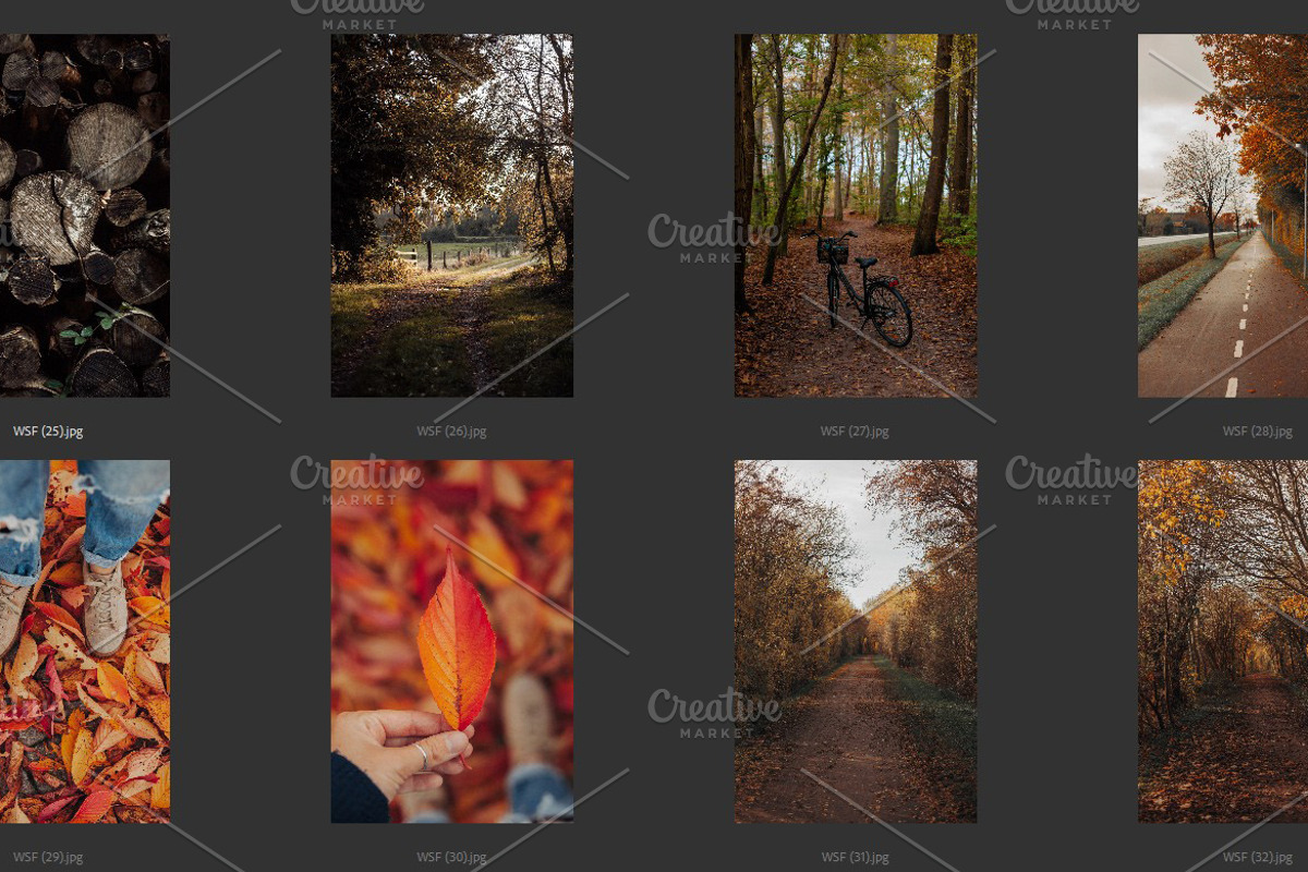 Cozy FALL Season (45 images), a Nature Photo by studiottander (Photo 5 of 9)