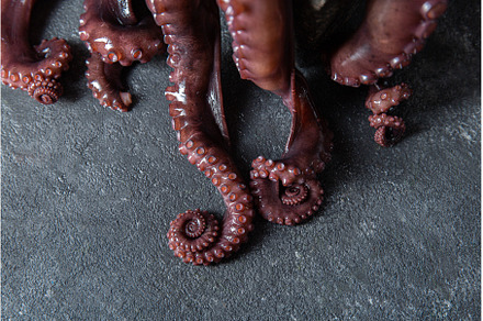 Raw octopus in black stone plate, a Food & Drink Photo by LARISA BLINOVA