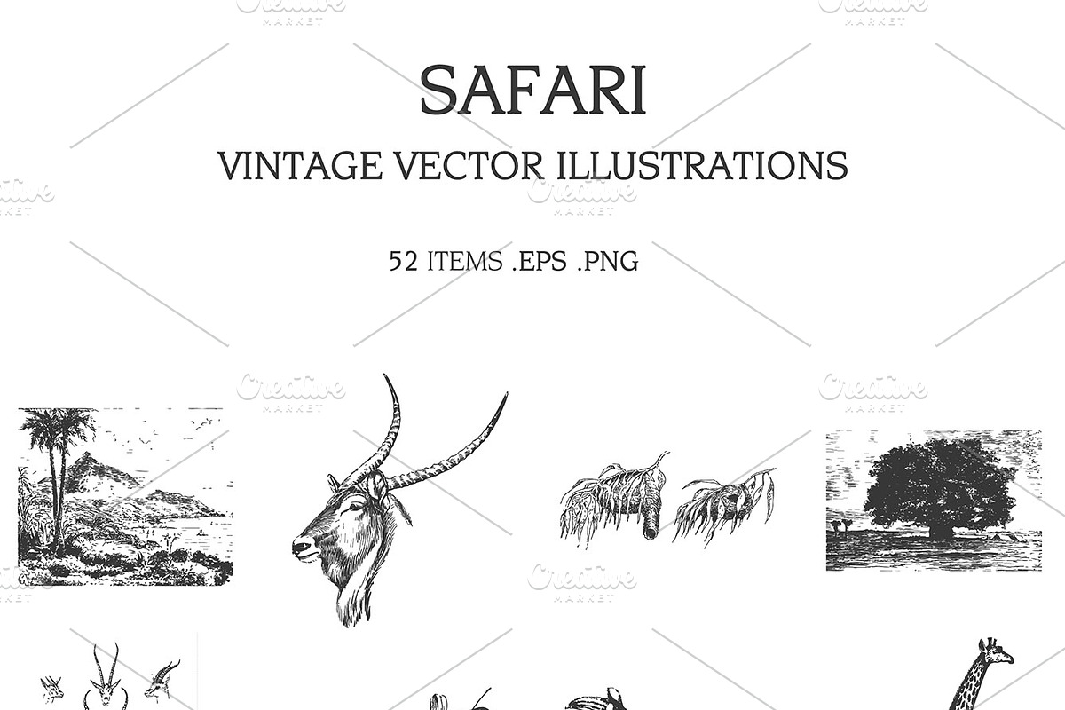 Vintage Vector Illustrations Bundle, a Food Illustration by TheBlackPixelCo (Photo 9 of 17)