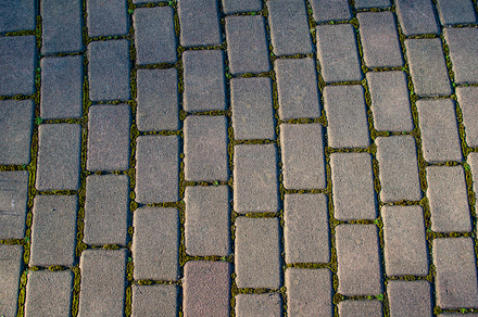 Brick Pathway With Green Moss preview 4