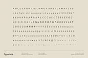 Stark Rounded - A Modern Sans Serif, a Sans Serif Font by Cassandra Cappello (Thumbnail 8 of 9)