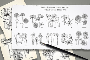 Set of Flowers, an Illustration by Victoria_Novak