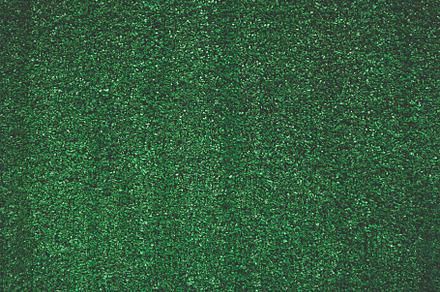 Green grass background. Tree Texture and Wallpaper concept. Dark, a Nature Photo by Ministocker
