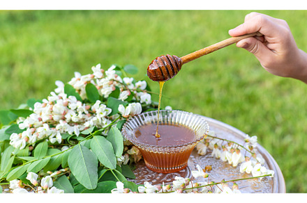 Honey from acacia in the garden, a Nature Photo by yanadjana