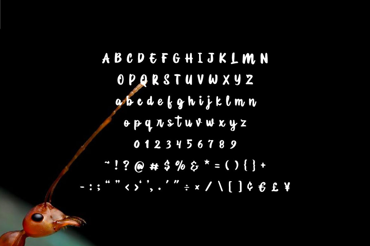 Lost Ant - Handwritten Script Font, a Script Font by Mightyfire (Photo 4 of 4)