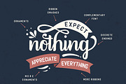 Rebetha Font DUO and extras, a Script Font by BlackCatsMedia (Thumbnail 3 of 7)