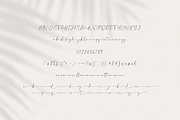 Senatheca Calligraphy Font, a Script Font by Pen Culture (Thumbnail 9 of 10)