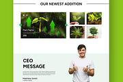 Plant Shop Landing Page, a Landing Page Template by ContestDesign (Thumbnail 3 of 6)