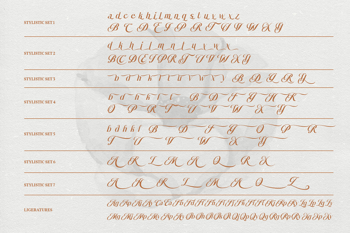 Bellavine, a Serif Font by din-studio.com (Photo 7 of 11)