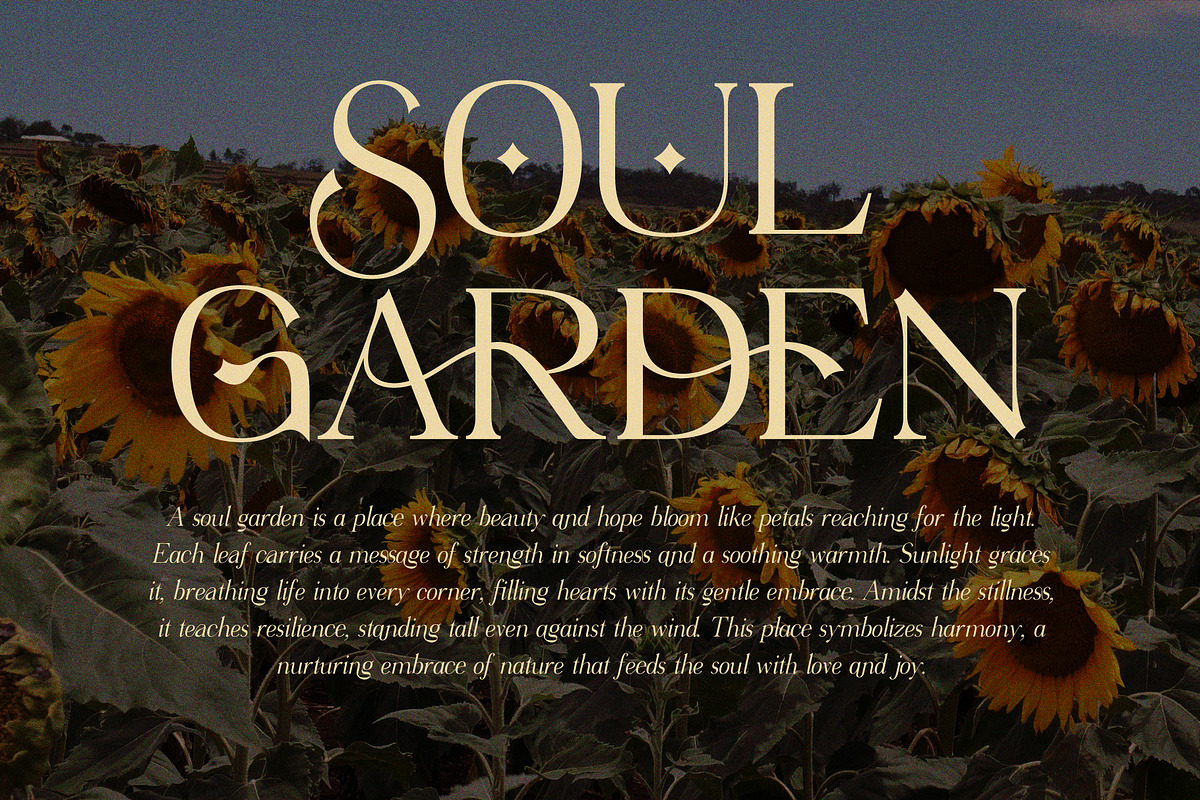 Virendra Pro - Modern Serif Font, a Serif Font by Hakara Type (Photo 6 of 15)