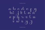 Dianvella | A Embroidery Script Font, a Handwritten Font by Berdansabersama (Thumbnail 4 of 9)