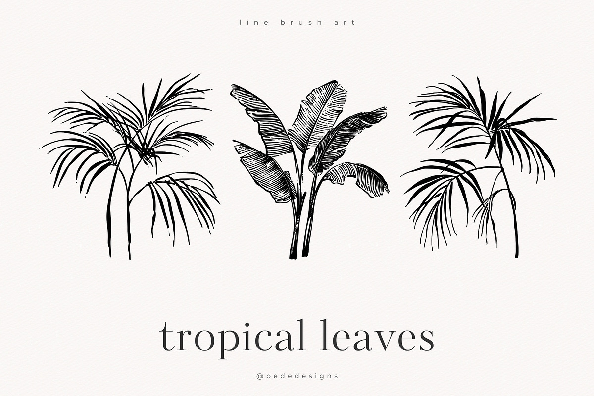Tropical Leaves, a Decorative Illustration by PeDe Designs (Photo 3 of 7)