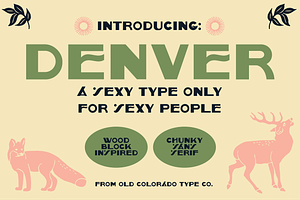 DENVER by Old Colorado Type Co.
