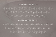 Clanetta, a Script Font by Integritype Studio (Thumbnail 12 of 15)