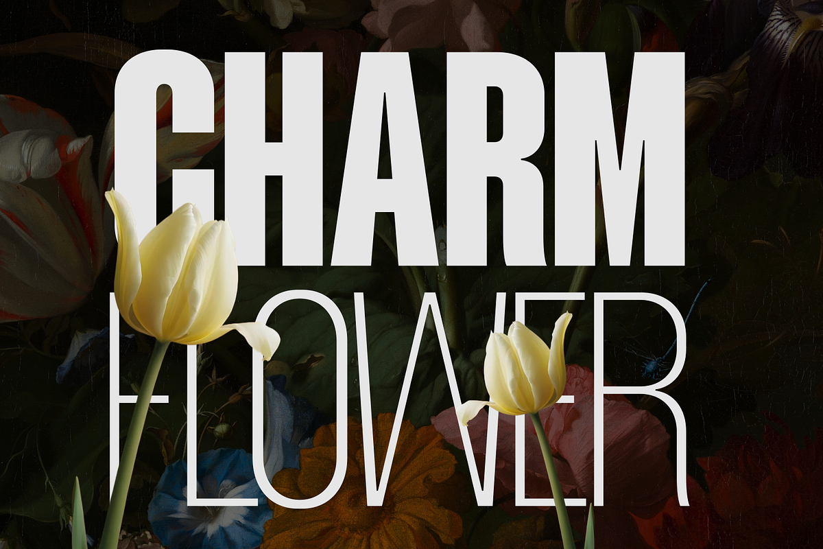 Mavine, a Sans Serif Font by zeenesia (Photo 8 of 17)