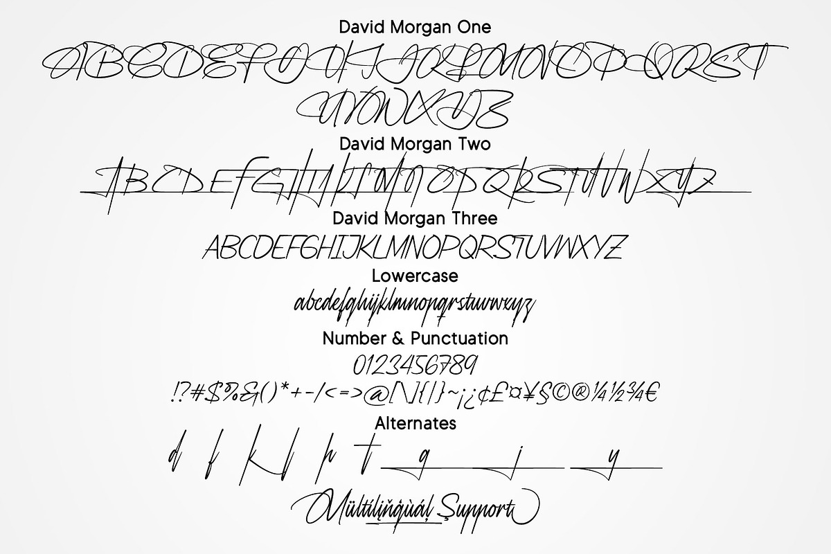 David Morgan | Stylish Signature, a Script Font by Lemonthe (Photo 12 of 12)