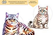 Cat Breeds PNG Bundle Cats Clipart, an Animal Illustration by VM PARTYS  BY TAIRUMA (Thumbnail 10 of 10)