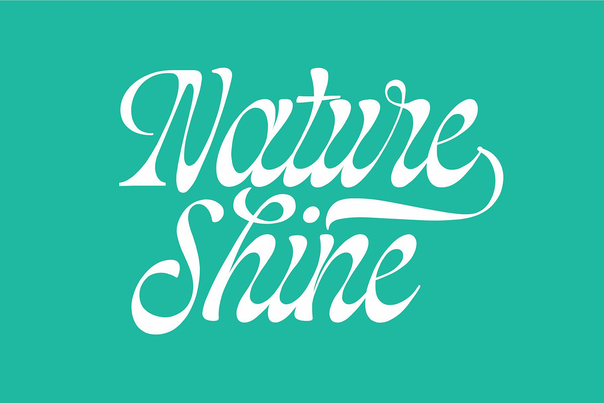 Blackshiny, a Script Font by ManType (Photo 6 of 7)