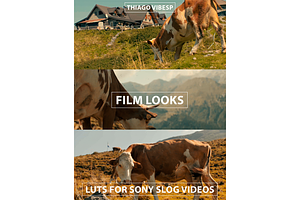 Film Farm LUTs For Sony SLOG Profile