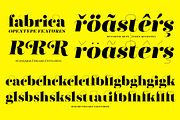 Fabrica - Decorative Serif, a Serif Font by Fenotype (Thumbnail 6 of 10)