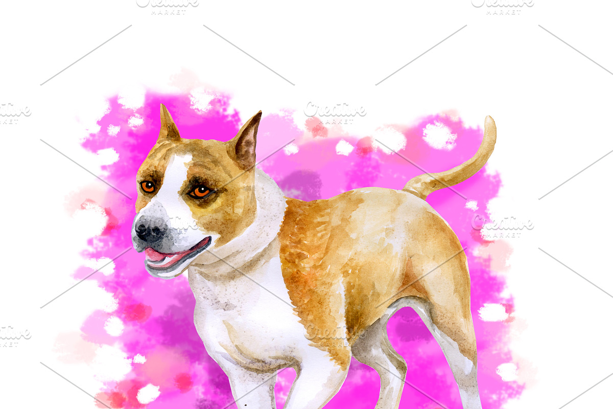 Watercolor Dogs Mega Big Bundle, an Illustration by Dneprstock (Photo 4 of 60)