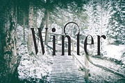 Steadfast Font, a Serif Font by Jadugar Design Studio (Thumbnail 4 of 10)