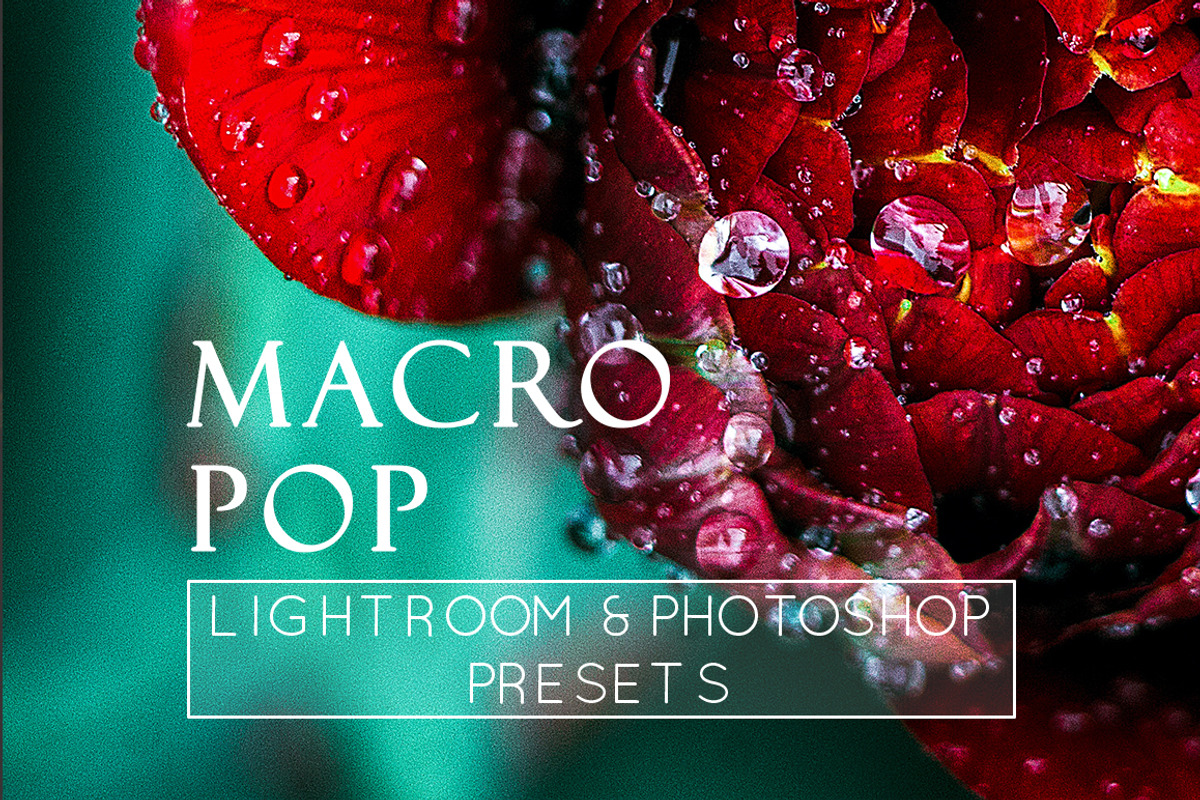 3 Macro Pop Detail LR & PS Presets, an Action Add-On by M E G A S E T S (Photo 1 of 6)