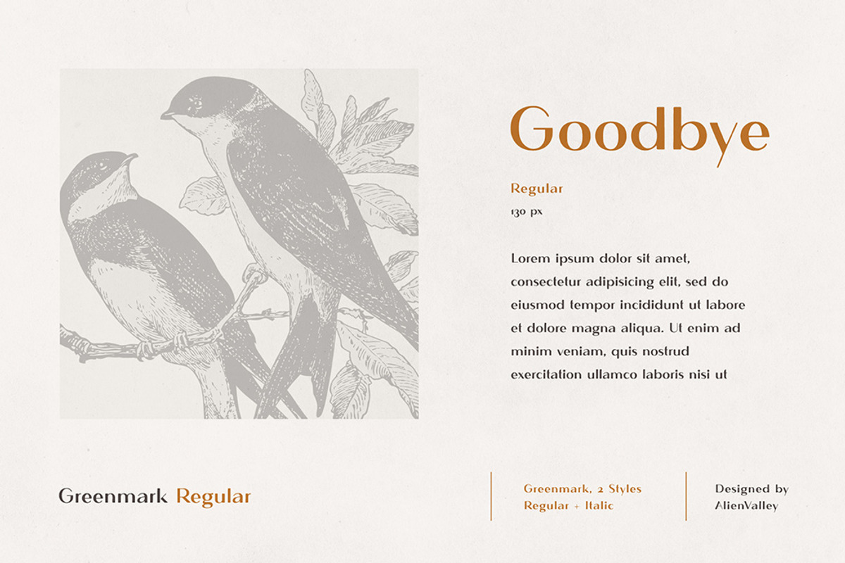 The Versatile Font Bundle, a Sans Serif Font by AlienValley (Photo 135 of 141)