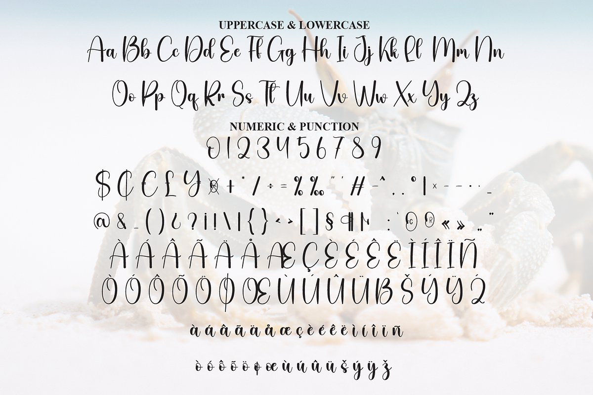 Babycrab | Script Font, a Handwritten Font by Scratchones (Photo 7 of 8)