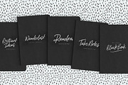Indigo Blue Font + Swashes, a Script Font by Nicky Laatz (Thumbnail 8 of 13)