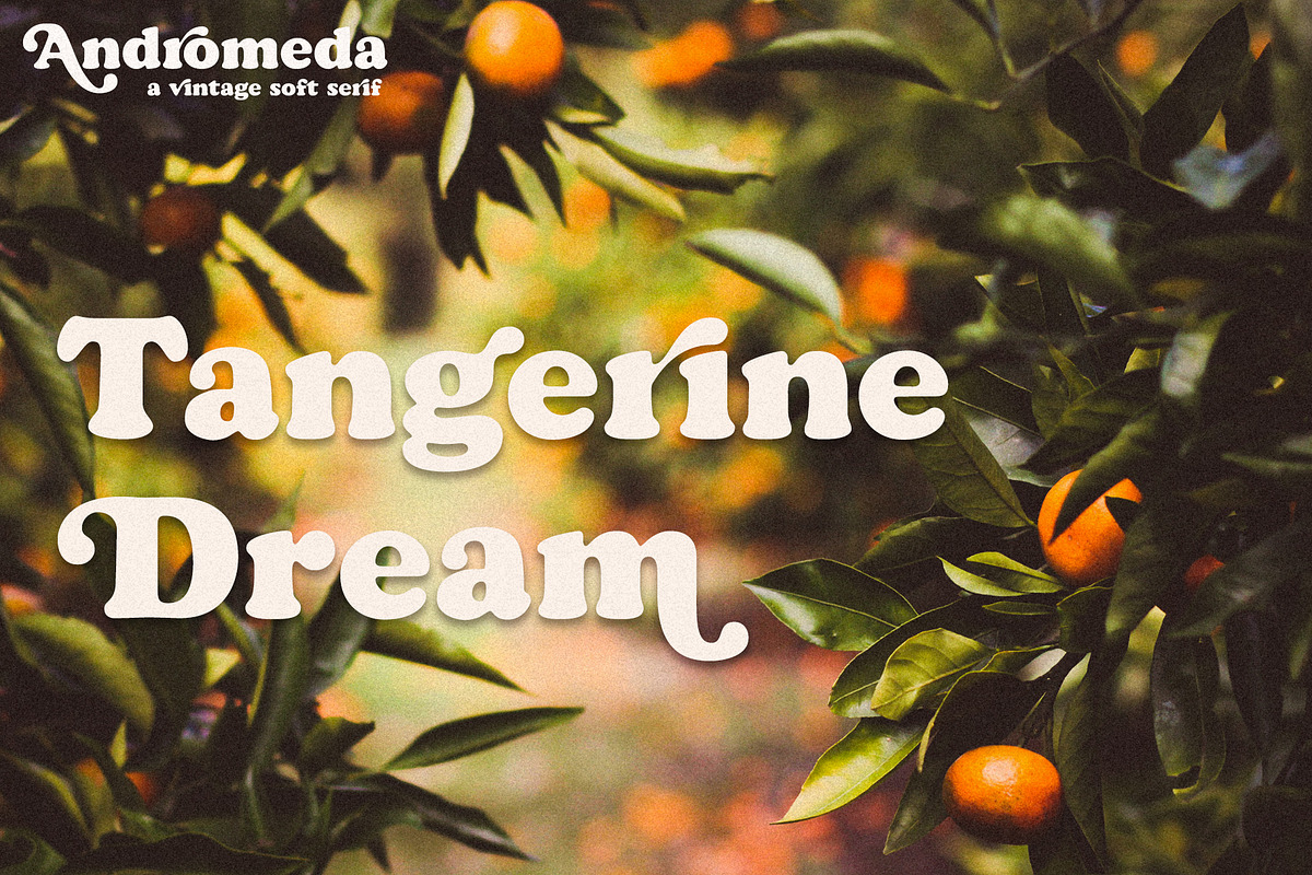 Andromeda // A Vintage Soft Serif, a Serif Font by Megs Lang (Photo 10 of 18)