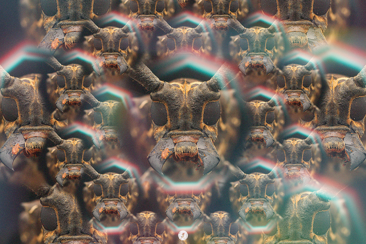 Compound Photo Effect, a Layer Style Add-On by Freezerondigital (Photo 10 of 11)