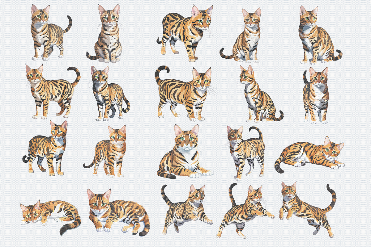 Bengal Cat Clipart, an Animal Illustration by Crafts of The Moon (Photo 3 of 4)