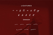 Wegirose, a Script Font by Integritype Studio (Thumbnail 11 of 15)