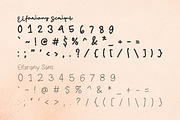 Elfariany Duo - Script & Sans-Serif, a Script Font by Lettertype Studio (Thumbnail 13 of 14)