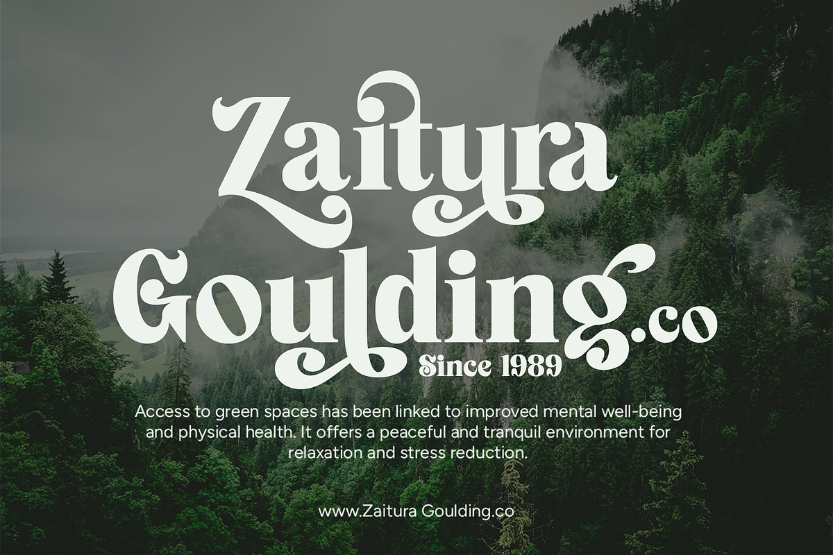 Signature Mango - Modern Retro Font, a Serif Font by Shakira Studio (Photo 10 of 18)