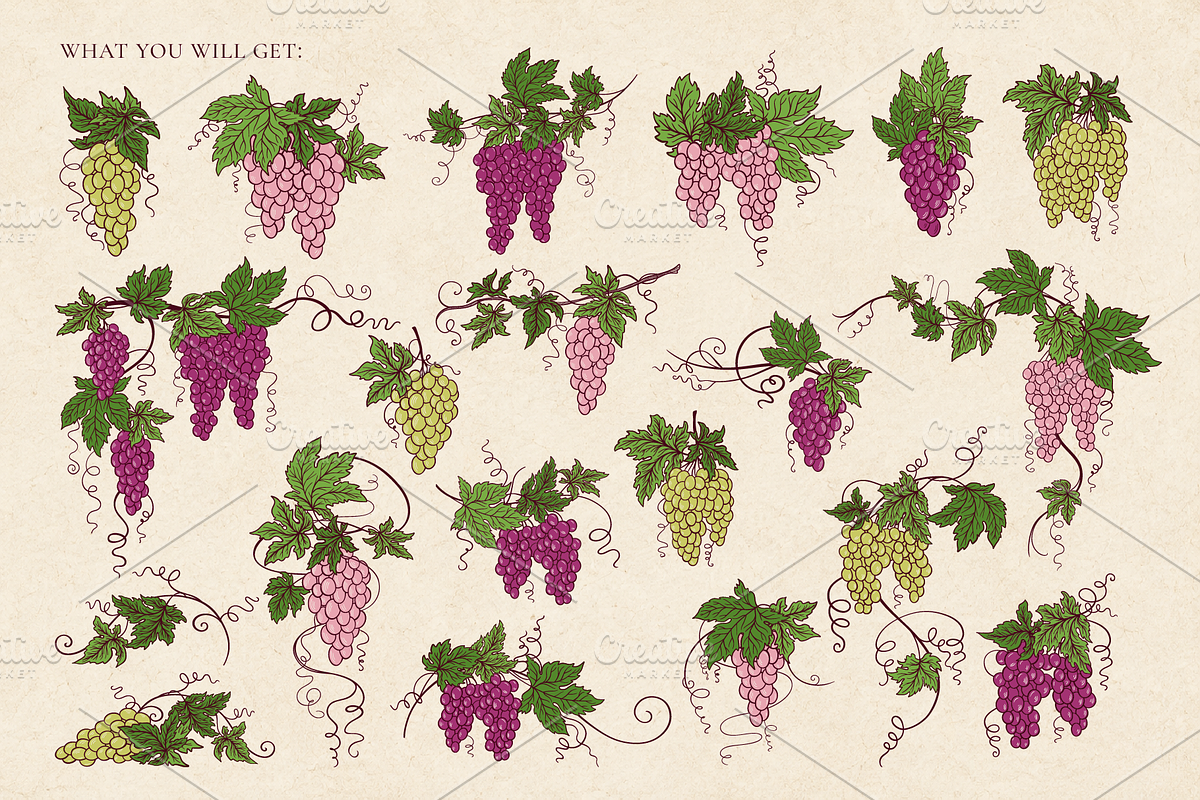 Vintage Grape Vector set Wine Labels, a Food Illustration by Neliakott ♥ (Photo 3 of 10)