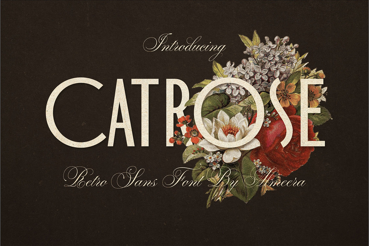 Catrose | Retro Sans, a Sans Serif Font by Almeera Std (Photo 1 of 8)