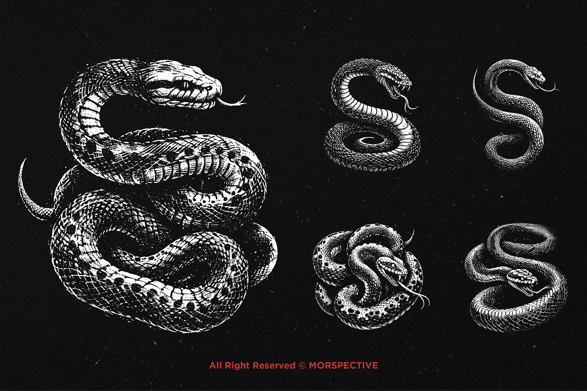 10 Bundle Dark Art Python Snake, an Illustration by Morspective (Photo 3 of 7)